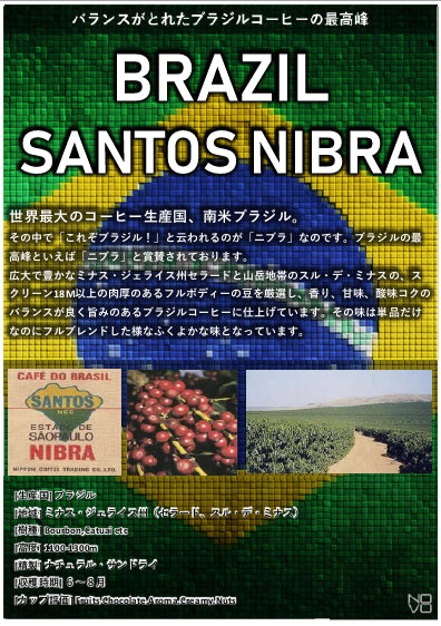 ブラジル/BRAZIL